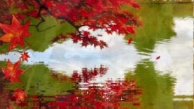 LETTING GO Meditation…by Carmen Warrington