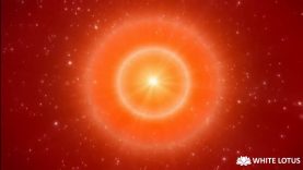 Meditation on Peace by Sister Denise